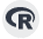 View R Analysis icon